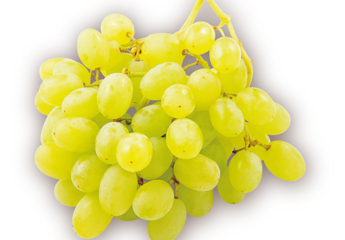 皮ごと食べられるぶどう